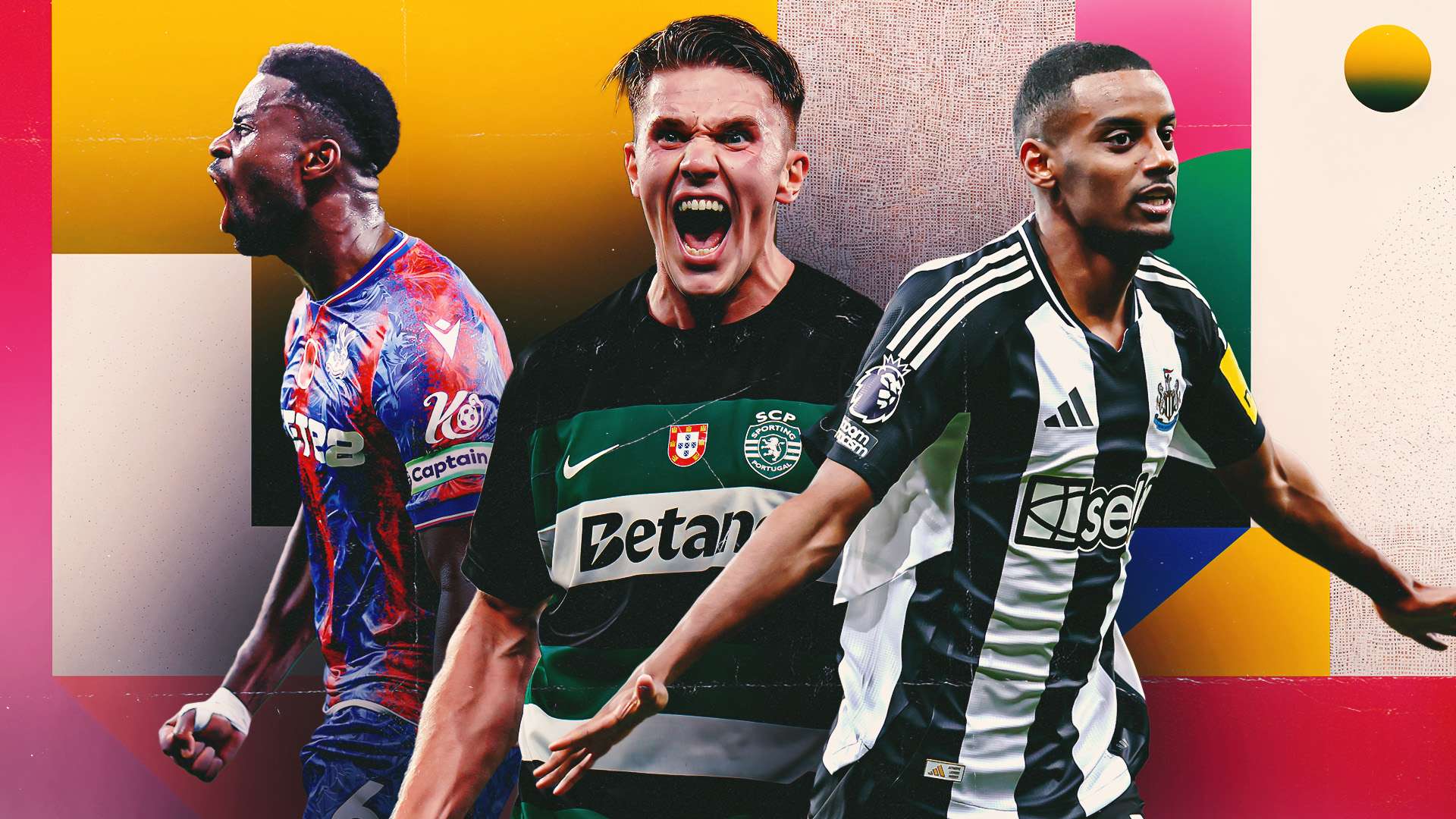 球队的整体 球队的整体